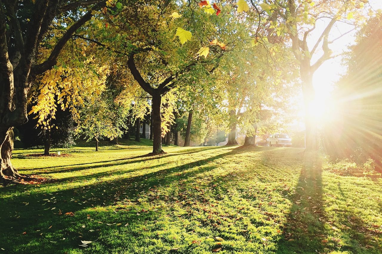 Boost your pension and save the environment