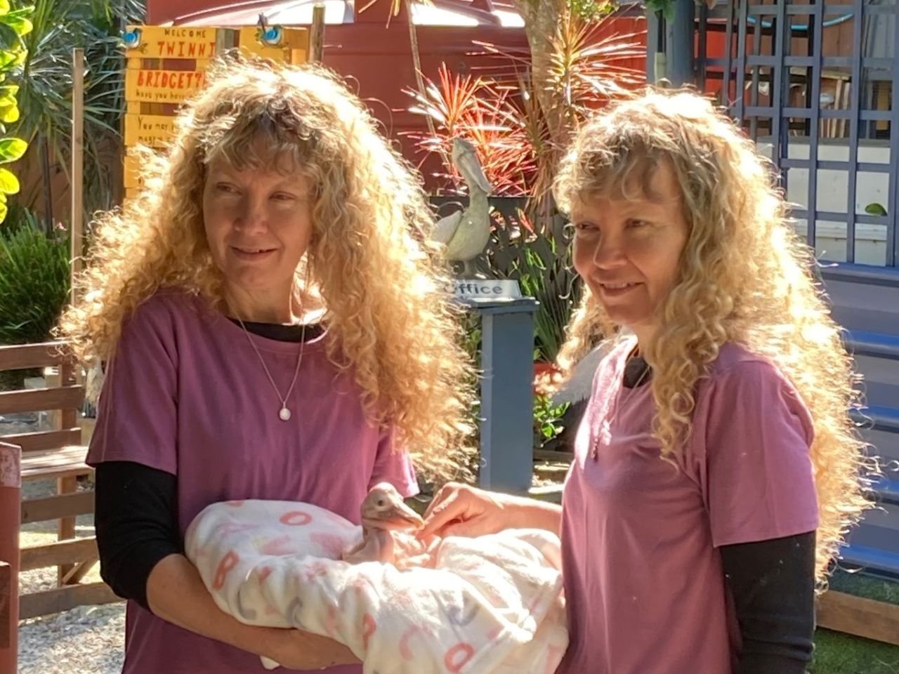 Twins Bridgette and Paula showing 12 day old pelican to members and guests visiting Twinnies Pelican and Seabird Rescue Centre during the June 2021 day bus trip.
