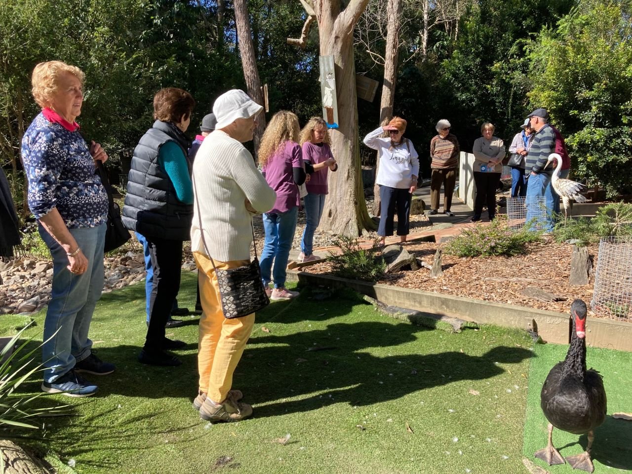 Members and guests visited Twinnies Pelican and Seabird Rescue Centre during the June 2021 day bus trip.