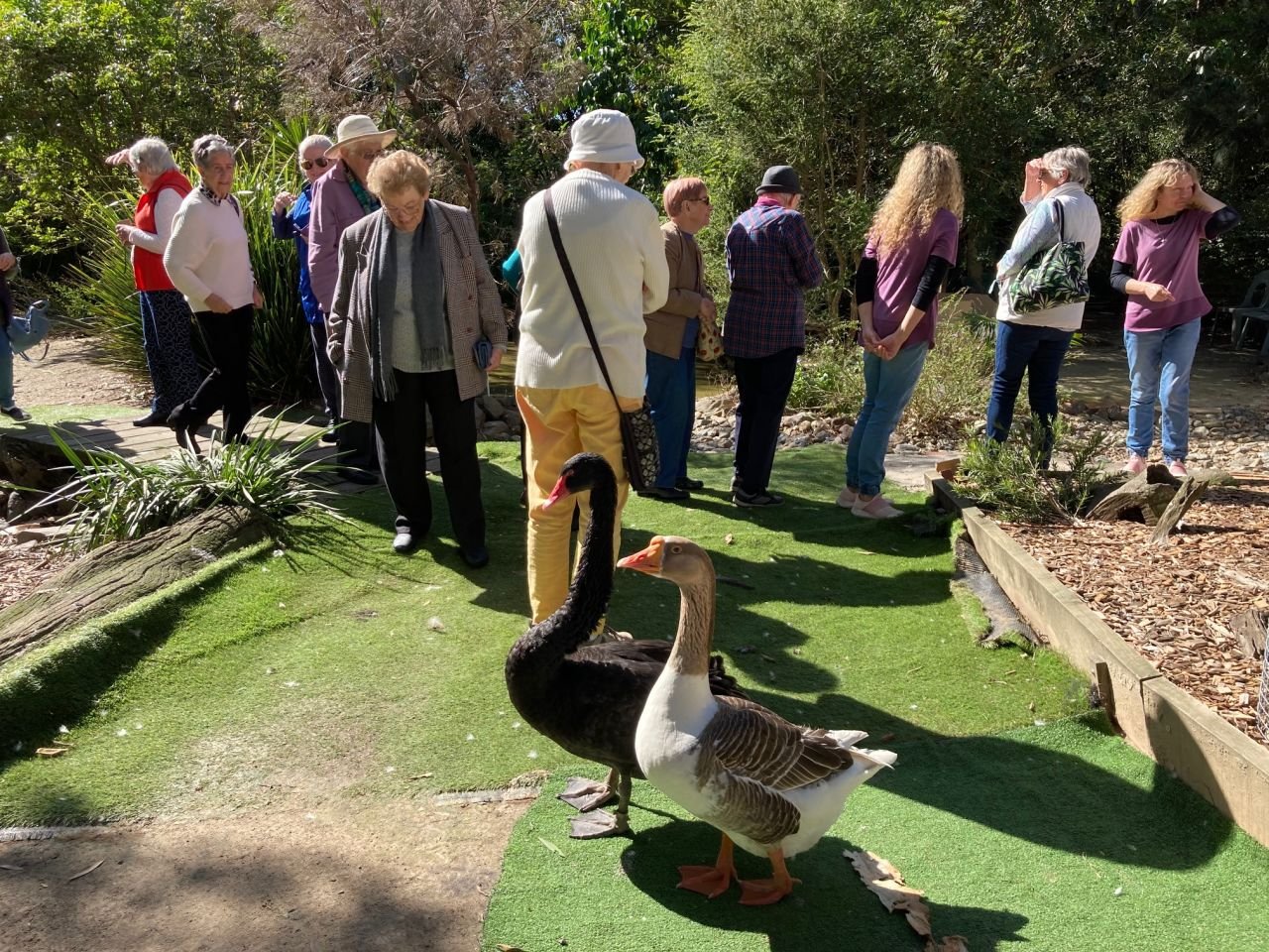 Members and guests visited Twinnies Pelican and Seabird Rescue Centre during the June 2021 day bus trip.