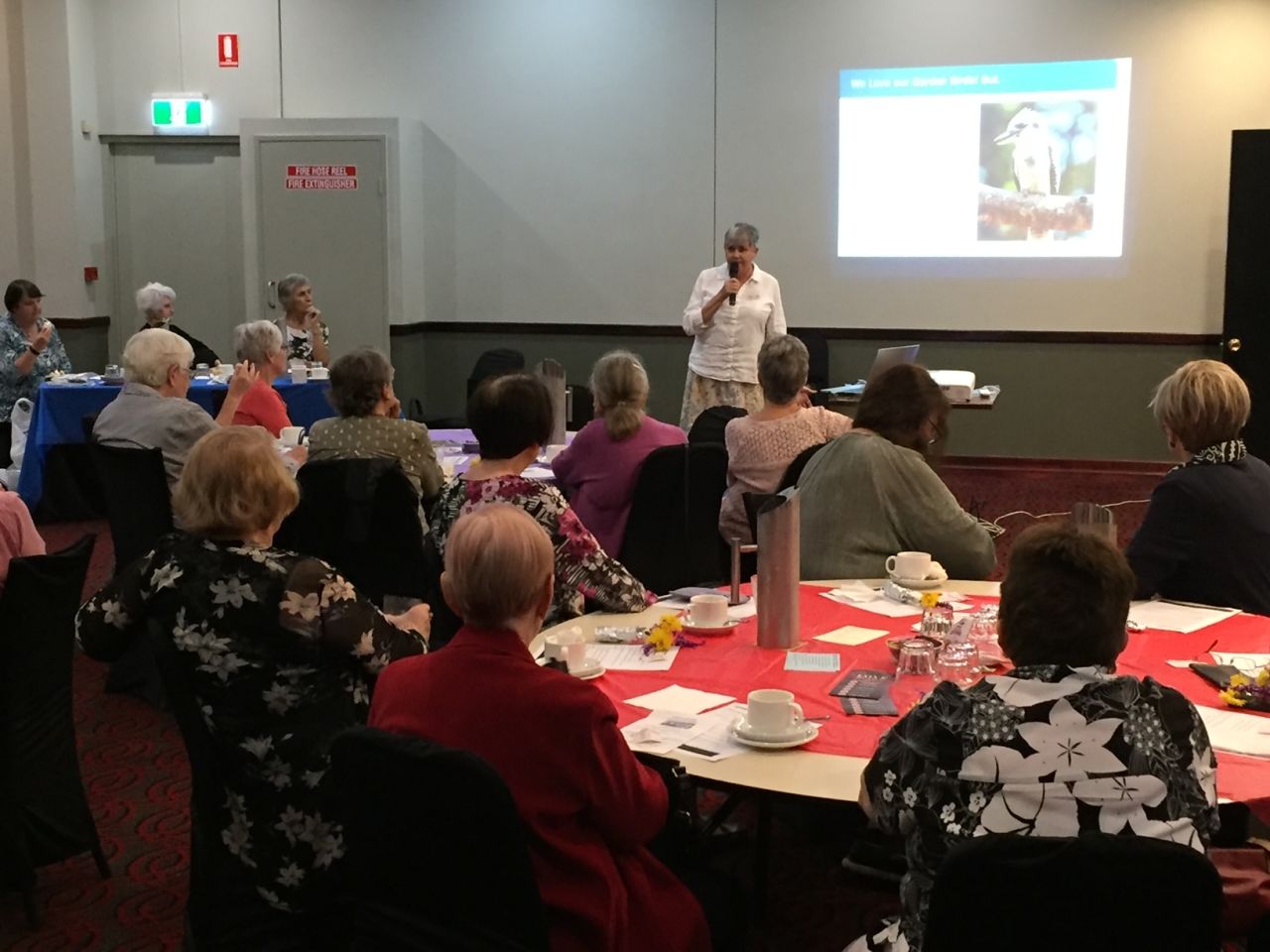 Members and guests enjoy our guest speaker, Judith Hoyle from Bird Life Southern Queensland during the May 2021 Coorparoo Branch meeting