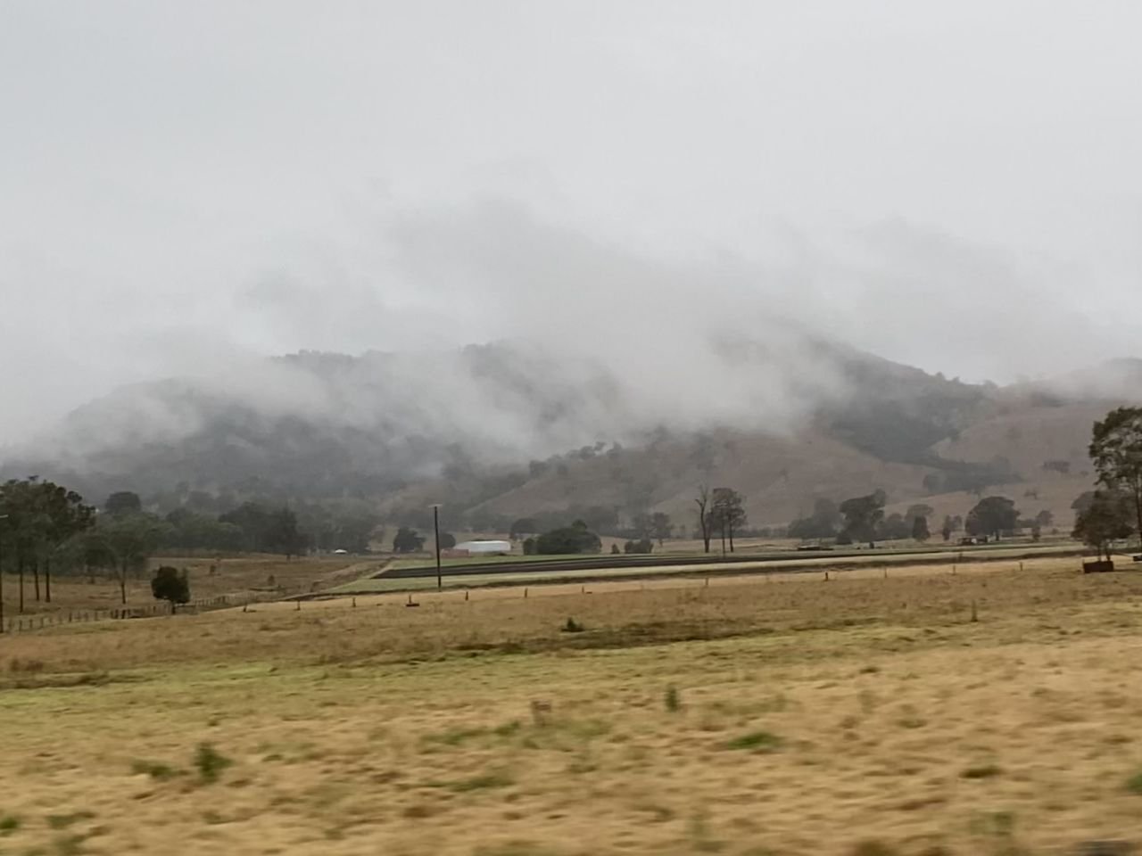 Country scenery during Scenic Rim bus trip July 2022