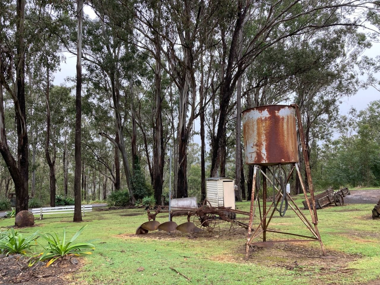 Members and guests visited the Rathlogan Olive Grove during a Scenic Rim bus trip in July 2022