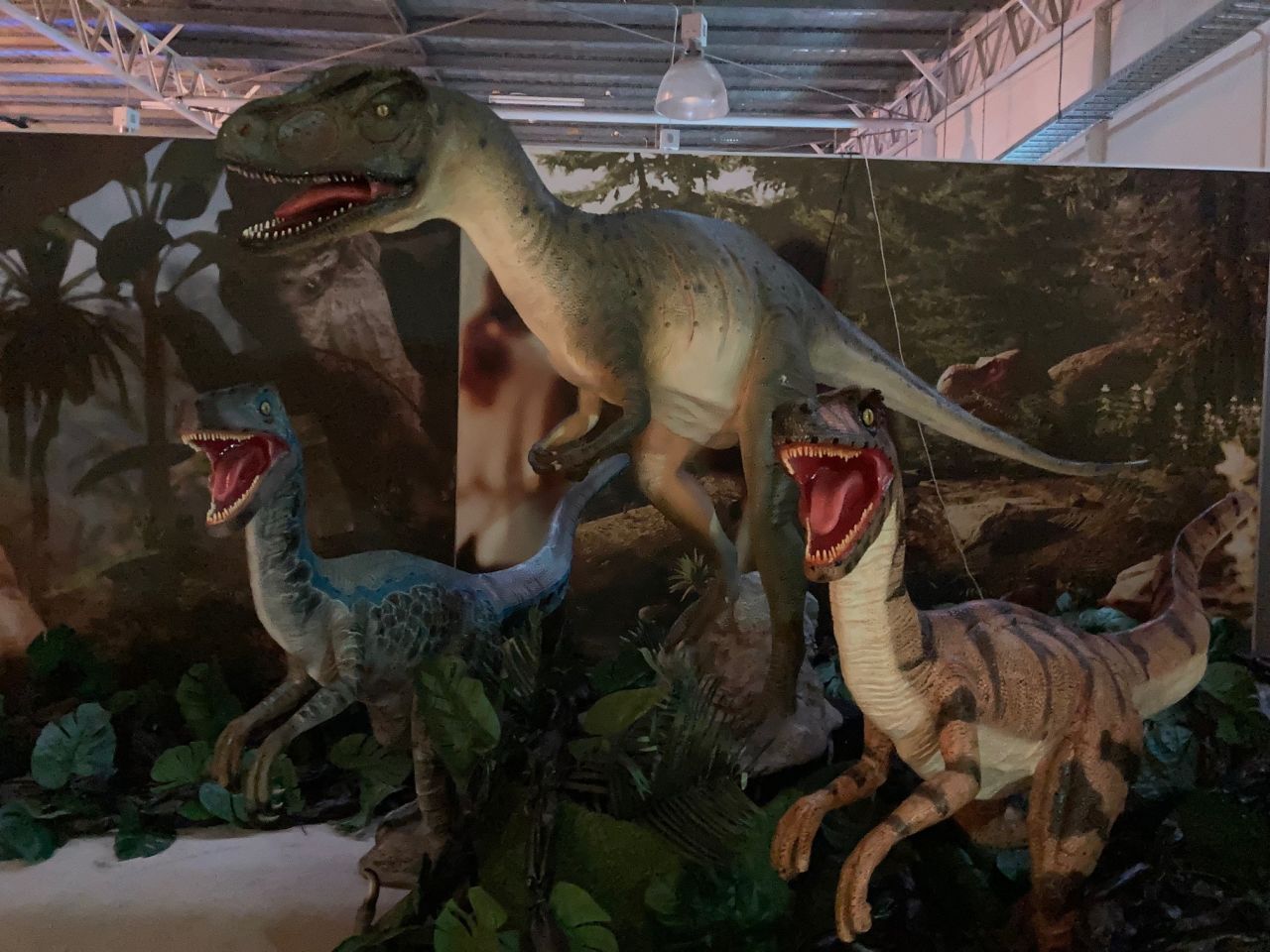 Members & guests enjoyed a visit to the Hologram Zoo at Cannon Hill in June 2023