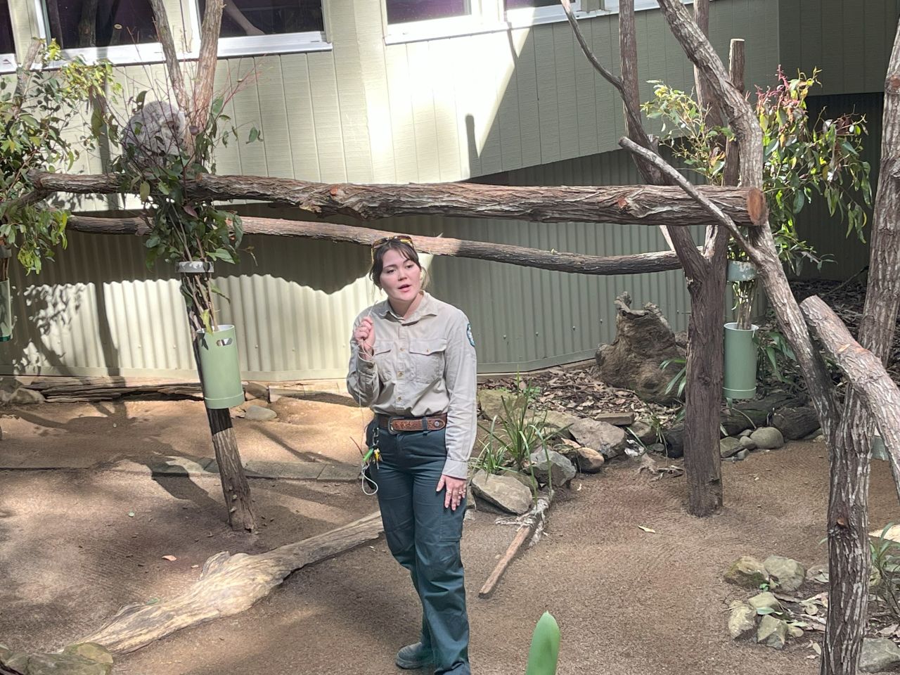 Members & guests enjoyed a visit to the Daisy Hill Koala Reserve during a day bus trip in July 2025