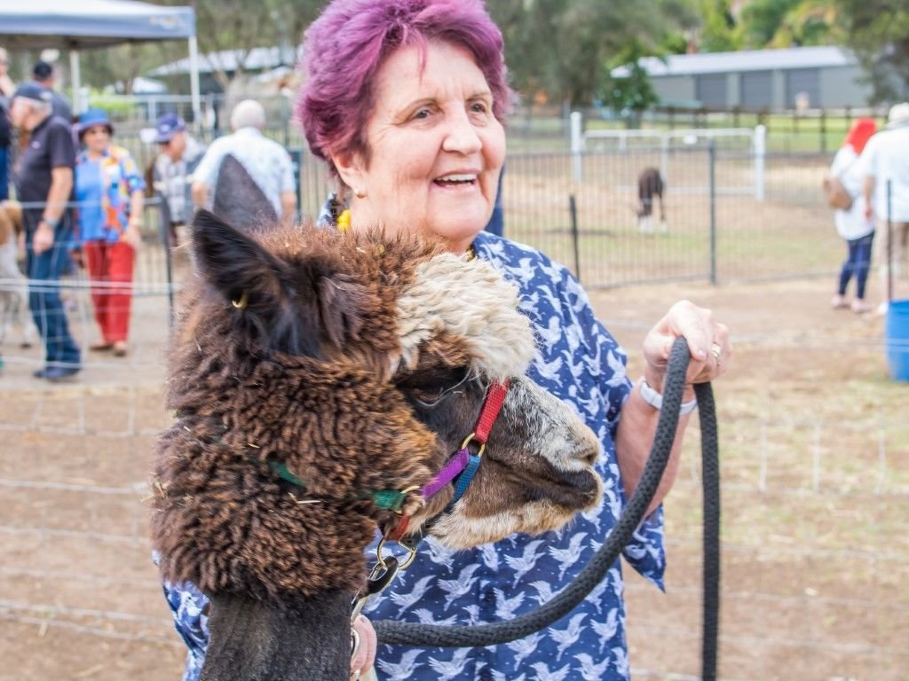 Alpaca Farm - October 2019