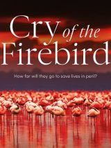 Win a copy of Cry of the Firebird