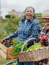 Growing older with purpose: How meaning shapes healthy ageing
