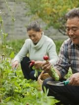 Growing Plants, Growing People: Older volunteers in botanic gardens