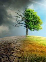 A legacy for future generations