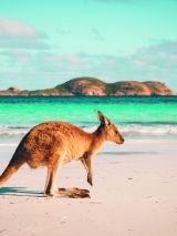 Wanderlust! Australia: our big beautiful backyard