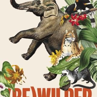 Win a copy of (Be)wilder: Journeys in Nature