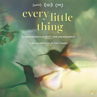 Win one of 10 double passes to Every Little Thing