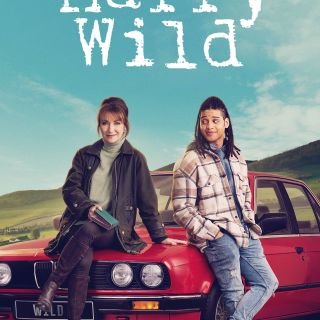 Win one of 5 DVD packages of Harry Wild: Series 1-4