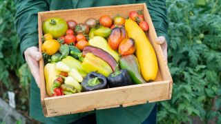 Keep food safe in an emergency 