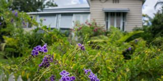 Do you need landlord insurance?