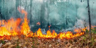 Be vigilant about bushfires