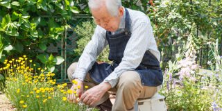 Japan sets 100 Club record