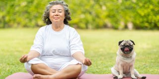 Dogs can measure our moods