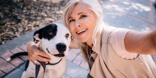 Keep your pet safe from ticks this summer