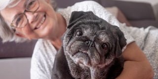How to stave off canine dementia 