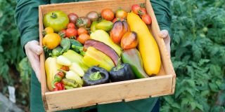 Keep food safe in an emergency 