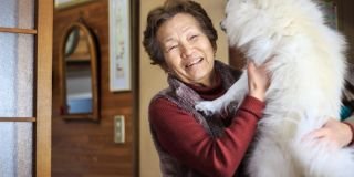 Which pet is best for dementia patients? 