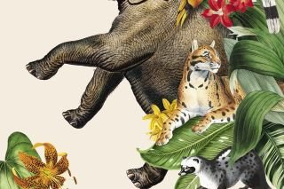 Win a copy of (Be)wilder: Journeys in Nature