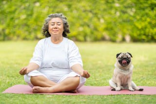 Dogs can measure our moods