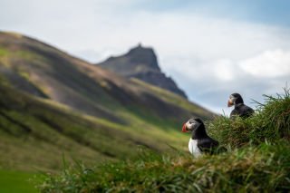 Elemental Iceland – Circular Saga From Reykjavík