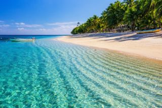 Lelepa Days & Vanuatu Ways - EXCLUSIVE OFFER