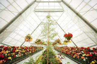 What's on - Autumn 2022
