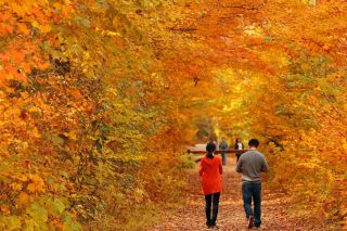 Tumut Valley Autumn Delight