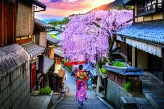 Journey Through Japan 