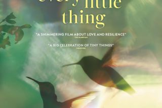 Win one of 10 double passes to Every Little Thing