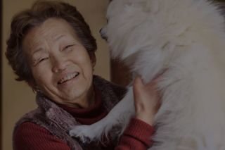 What will you choose: healthspan or lifespan