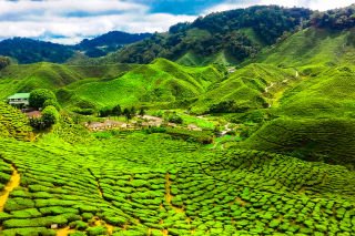 Malaysia: Rainforests, Heritage & Island Escapes