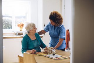 Input to the Office of the Inspector General of Aged Care