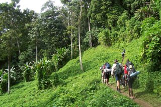 Refire, not retire: The Kokoda Track’s oldest hiker