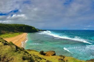 Norfolk Island Escorted Tour 