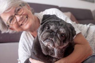How to keep your senior dog healthy and happy