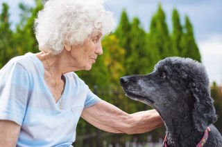Pets in aged care – dos and don’ts