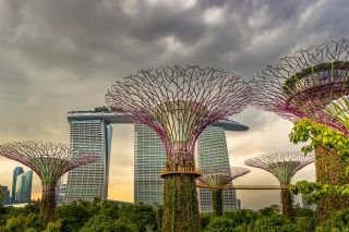 Singapore Gardens & Sightseeing Escorted Tour