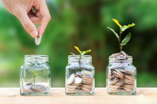 How to plant some savings