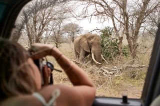 South African Safari Adventure