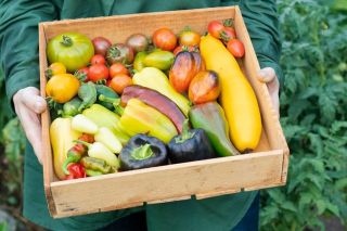 Keep food safe in an emergency