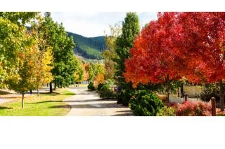 Colours of Autumn in the Victorian Alpine Region