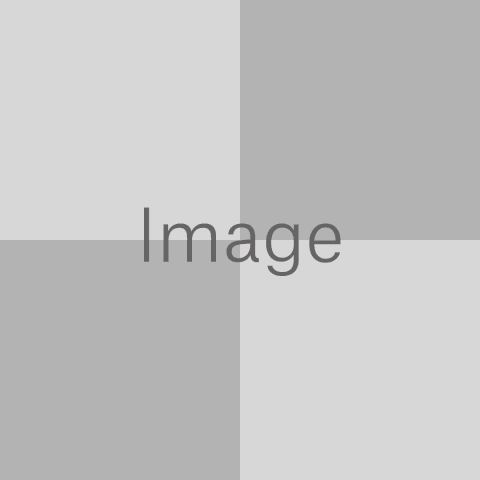 Lorem ipsum dolor sit amet