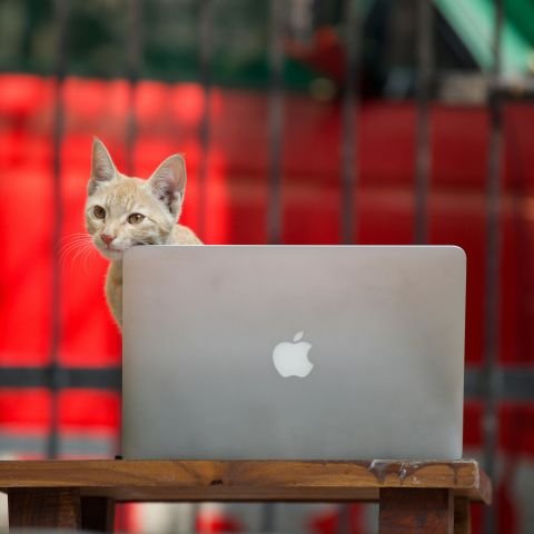 Why beating the market is so hard