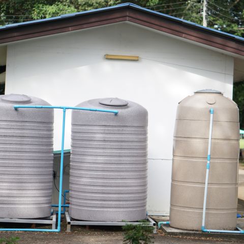 Pros and cons of installing a rainwater tank 